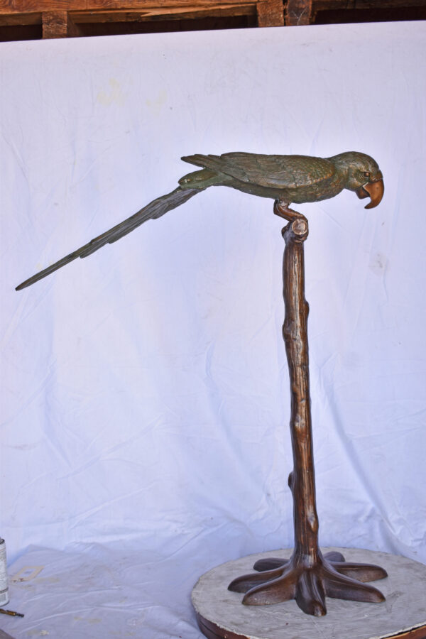 Parrot on a Tree Watching Forward Bronze Statue - Size: 36"L x 15"W x 41"H. - Image 10