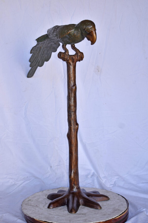 Parrot on a Tree Watching Forward Bronze Statue - Size: 36"L x 15"W x 41"H. - Image 12