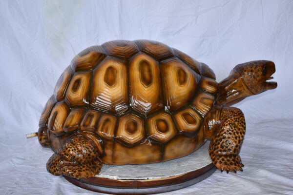 Giant - Tortoise Turtle Fountain Brown Finish Bronze Statue  24" x 38" x 16"H - Image 3