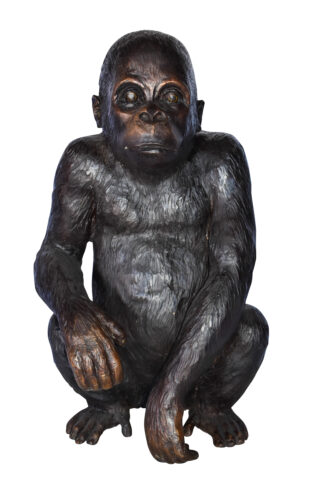 Baby Gorilla Sitting Detailed and Impressive Bronze Statue  18" x 14" x 30"H