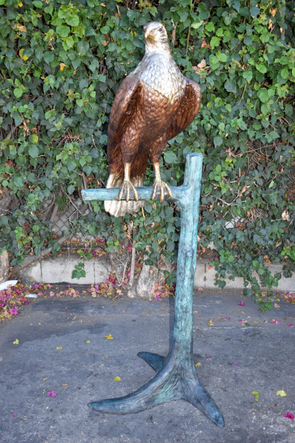 Very Detailed Eagle Standing on A Tree Branch Bronze Statue  24" x 28" x 66"H - Image 4