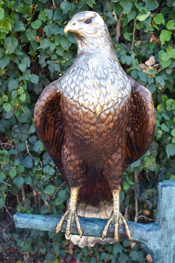 Very Detailed Eagle Standing on A Tree Branch Bronze Statue  24" x 28" x 66"H - Image 10