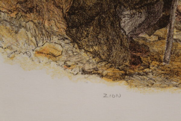 Zion Colored by Emanuel Schary Lithograph 18 x 14 - Image 5