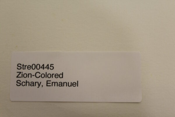 Zion Colored by Emanuel Schary Lithograph 18 x 14 - Image 9