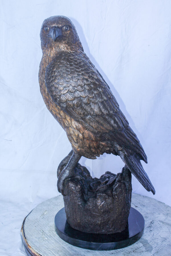 Hawk Bronze Statue Standing on Tree Stump with Marble Base 12" x 15" x 29"H - Image 3