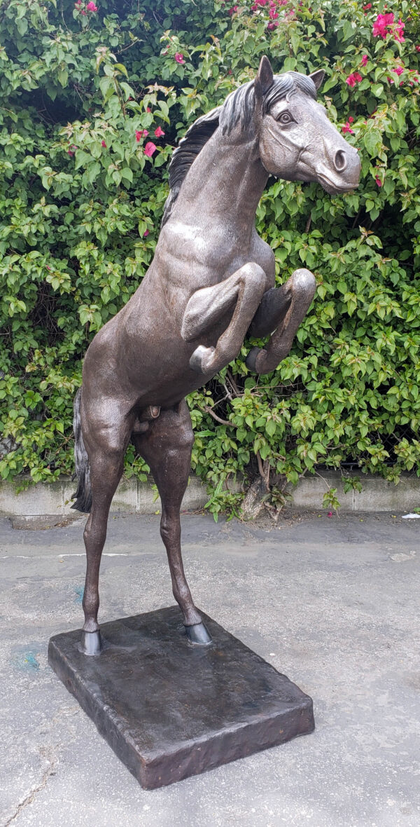 Life Size Rearing Horse Bronze Statue Outdoor Equestrian Art 58" x 21" x 76"H - Image 8