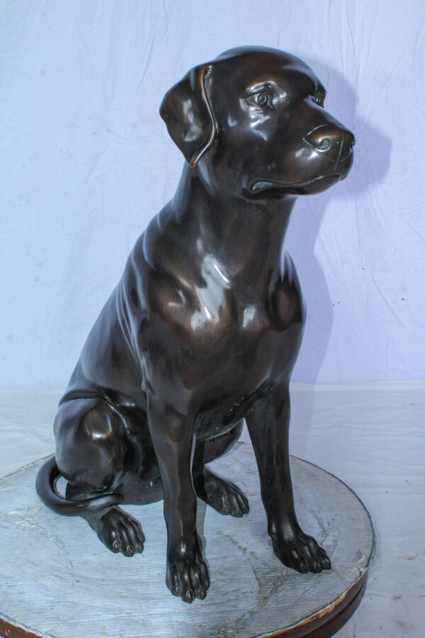 Large Bronze Chocolate Labrador Dog Statue Sitting Pose 22" x 12" x 27"H - Image 12