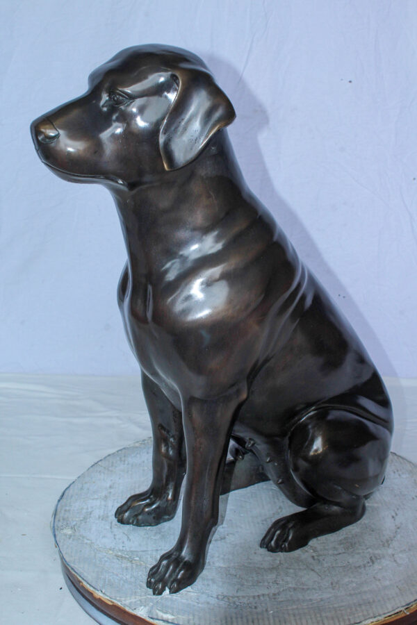 Large Bronze Chocolate Labrador Dog Statue Sitting Pose 22" x 12" x 27"H - Image 3