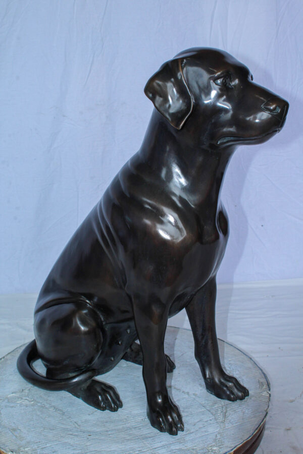 Large Bronze Chocolate Labrador Dog Statue Sitting Pose 22" x 12" x 27"H - Image 8