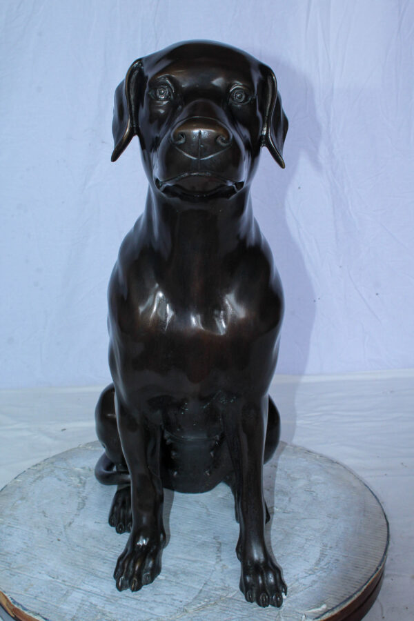 Large Bronze Chocolate Labrador Dog Statue Sitting Pose 22" x 12" x 27"H - Image 9