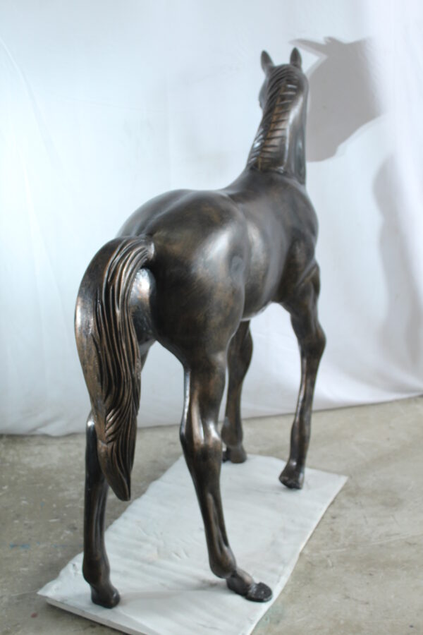 Life Size Aluminum Arabian Colt Horse Statue for Decoration 50" x 15" x 52"H - Image 3