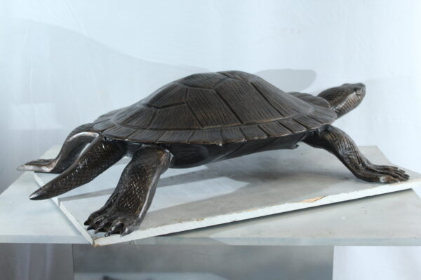 Cooter Turtle Aluminum Statue with Realistic Crawling Pose 38" x 26" x 8"H - Image 9