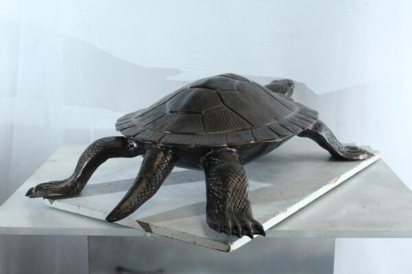 Cooter Turtle Aluminum Statue with Realistic Crawling Pose 38" x 26" x 8"H - Image 8
