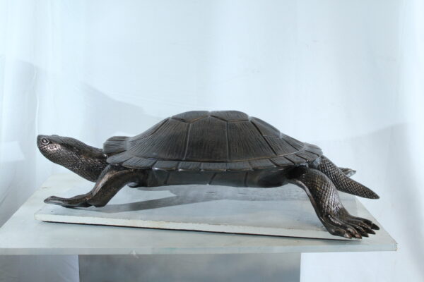 Cooter Turtle Aluminum Statue with Realistic Crawling Pose 38" x 26" x 8"H - Image 6