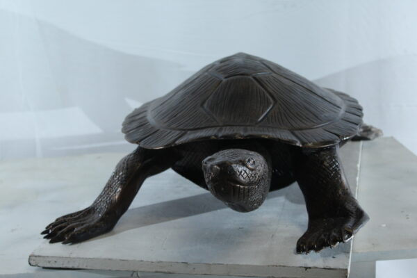 Cooter Turtle Aluminum Statue with Realistic Crawling Pose 38" x 26" x 8"H - Image 5