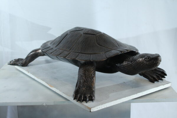 Cooter Turtle Aluminum Statue with Realistic Crawling Pose 38" x 26" x 8"H - Image 4