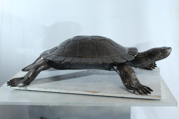 Cooter Turtle Aluminum Statue with Realistic Crawling Pose 38" x 26" x 8"H - Image 3
