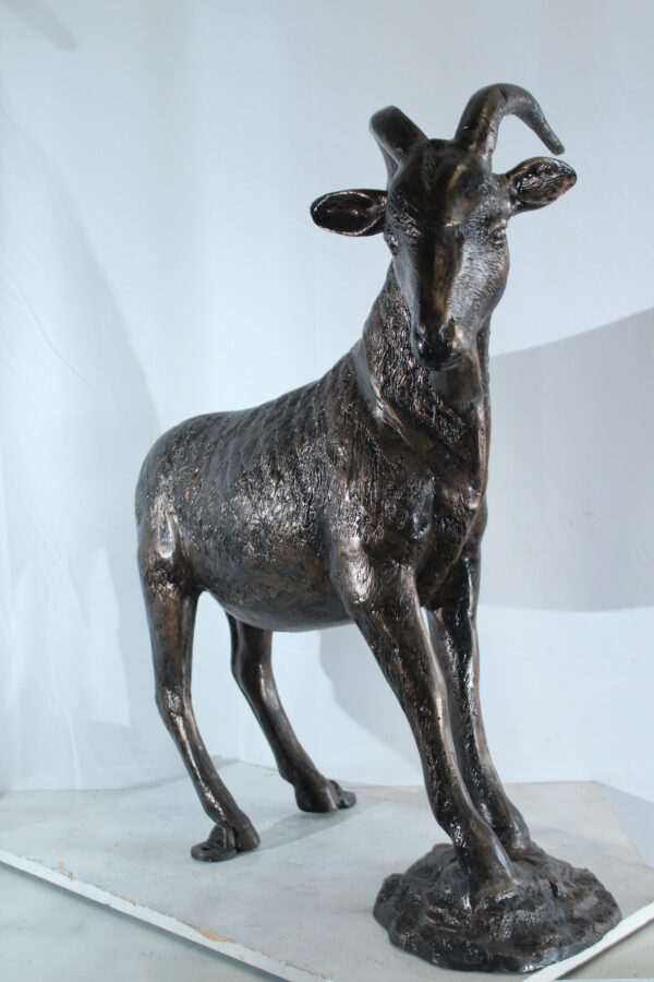 Aluminum Goat Statue with Curved Horns Farmhouse Décor 35" x 15" x 39"H - Image 11