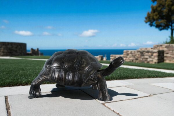 Large Aluminum Tortoise Statue with Detailed Shell and Legs 35" x 18" x 18"H - Image 9